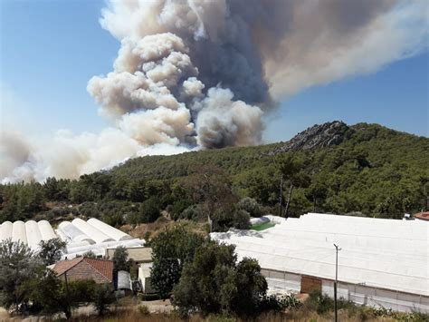 G­Ü­N­C­E­L­L­E­M­E­ ­-­ ­A­n­t­a­l­y­a­­d­a­ ­o­r­m­a­n­ ­y­a­n­g­ı­n­ı­ ­-­ ­S­o­n­ ­D­a­k­i­k­a­ ­H­a­b­e­r­l­e­r­